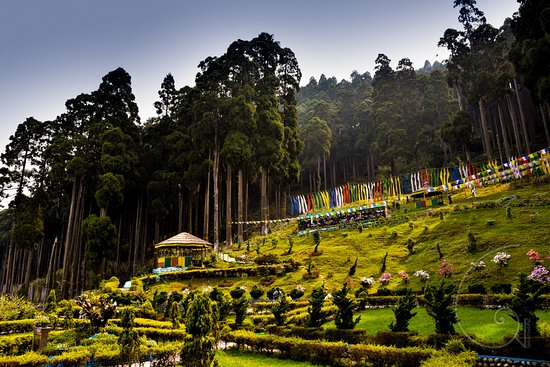 4N/5D DARJEELING WITH LAMAHATTA EXCURSION