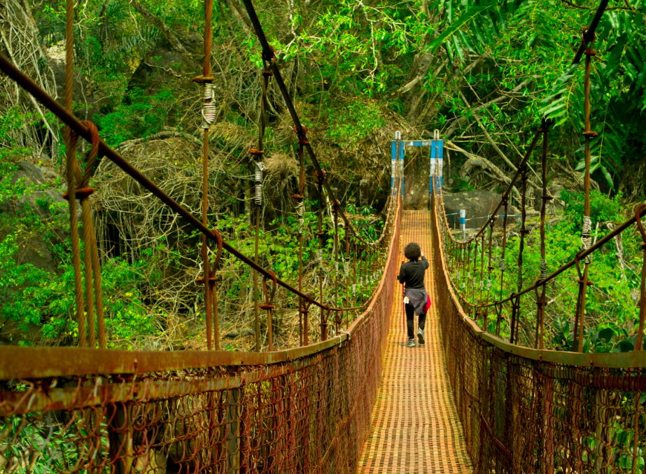 7night/8Days best packages